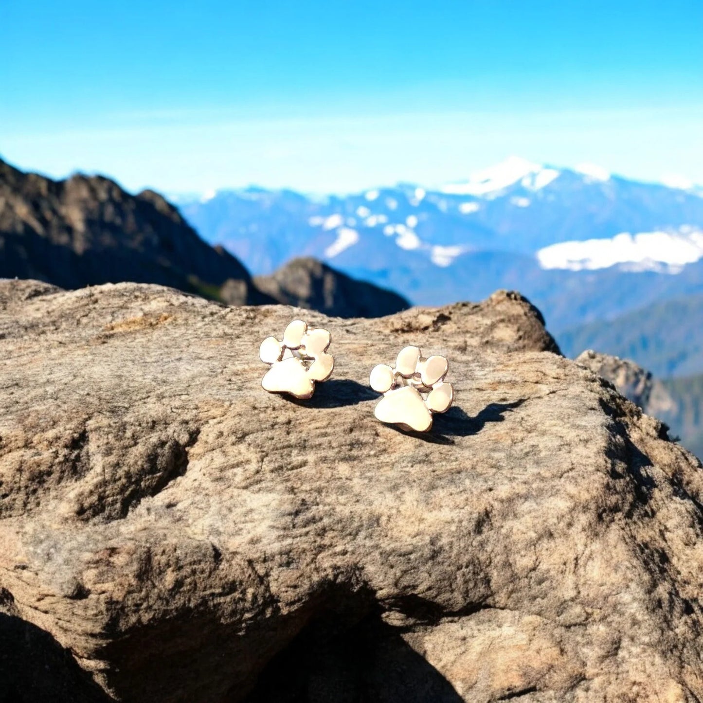 SOFIA | Pendientes hipoalergénicos para las patas